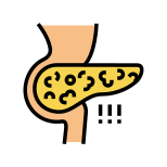 Fatty Liver icon