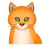 Cat icon