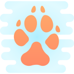 Orma del cane icon