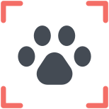 Footprint Scanning icon