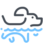 Perro nadar icon