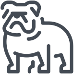 Bulldogge icon