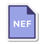 NEF icon