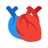 Corazón médico icon