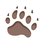 Bear Footprint icon