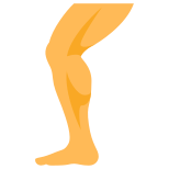 Leg icon