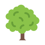 Oak Tree icon