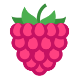 Raspberry icon