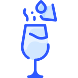 Champagne icon