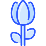 Tulipa icon