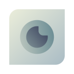 Webcam integrata icon