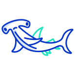 Hammard Fish icon