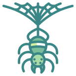 蜘蛛 icon