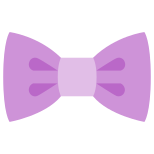 Nœud papillon icon