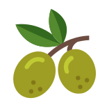 Aceituna icon