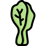 Chinese cabbage icon