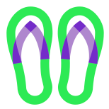 Flip Flops icon