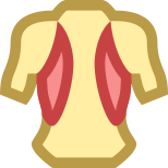 Músculos de la espalda icon