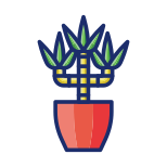 Dracaena icon