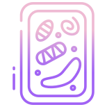 Plant Cell icon