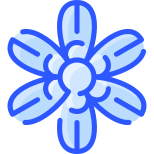 esterno-sisyrinchium-fiori-vitaliy-gorbachev-blu-vitaly-gorbachev icon