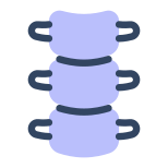 Spine icon