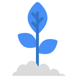 Growing Plant icon