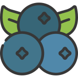 Blueberries icon