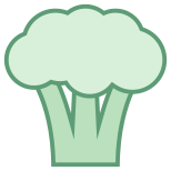 Brócoli icon