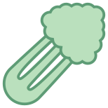 Celery icon