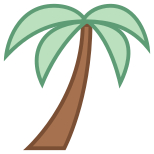 Palm Tree icon