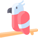 Parrot icon