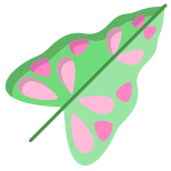 Caladium Leaf icon