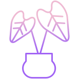 Rubber Plant icon