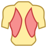 Músculos de la espalda icon