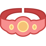 Championship Belt icon