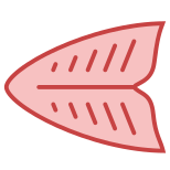 Filetti di pesce icon