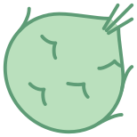 Kohlrabi icon