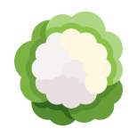 Cauliflower icon