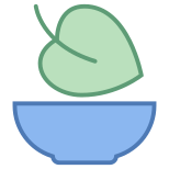 素食食品 icon