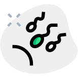 Sperm moving towards ovaries for form a egg icon