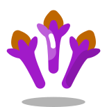Cloves icon