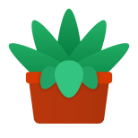 Succulento icon