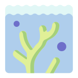 Coral icon