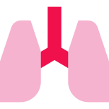 Lungs icon