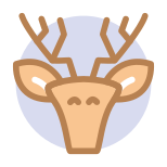 Animal icon