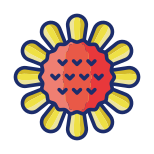 Sonnenblume icon