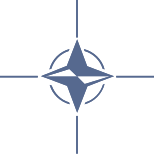 NATO Label icon