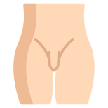 Male Body icon