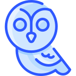 Hibou icon